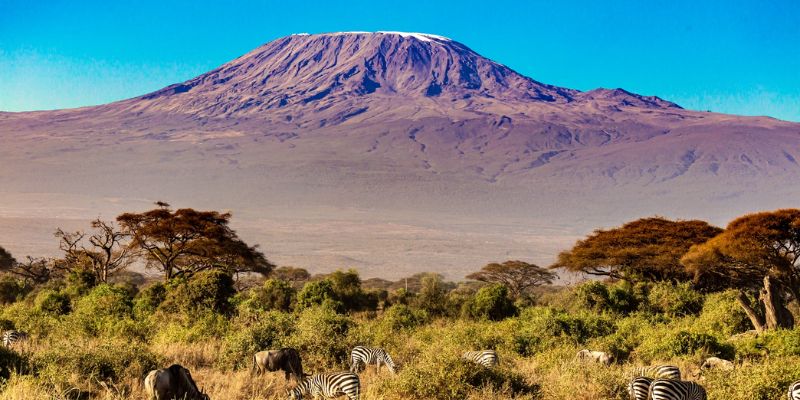 Venture the kempt Kilimanjaro