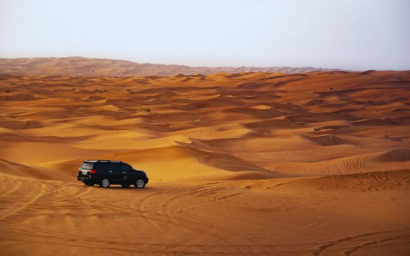 Dubai Desert Safari