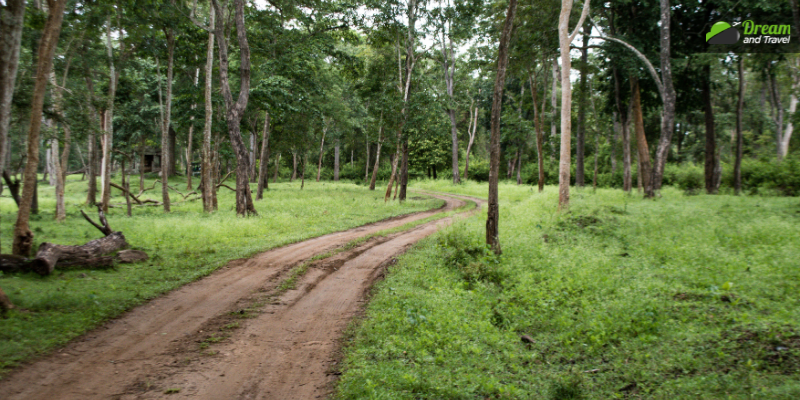 Kabini