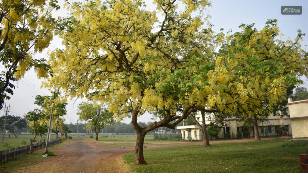 Santiniketan