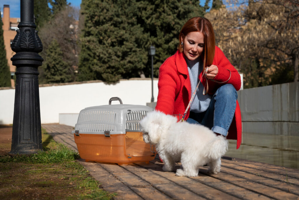 Travel essentials while carrying your Dog