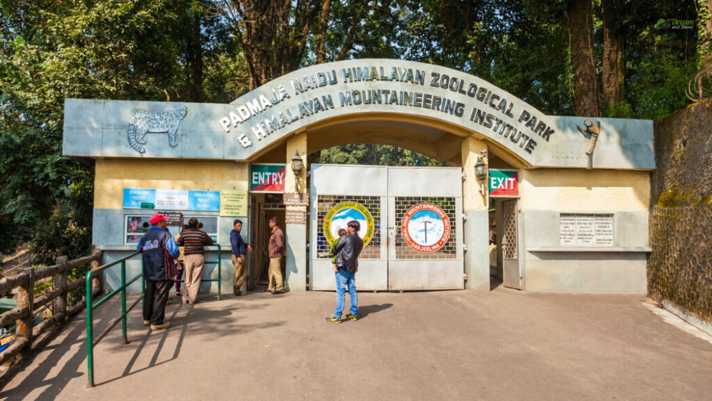 Padmaja Naidu Himalayan Zoological Park