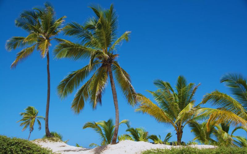 Reasons to Visit Punta Cana