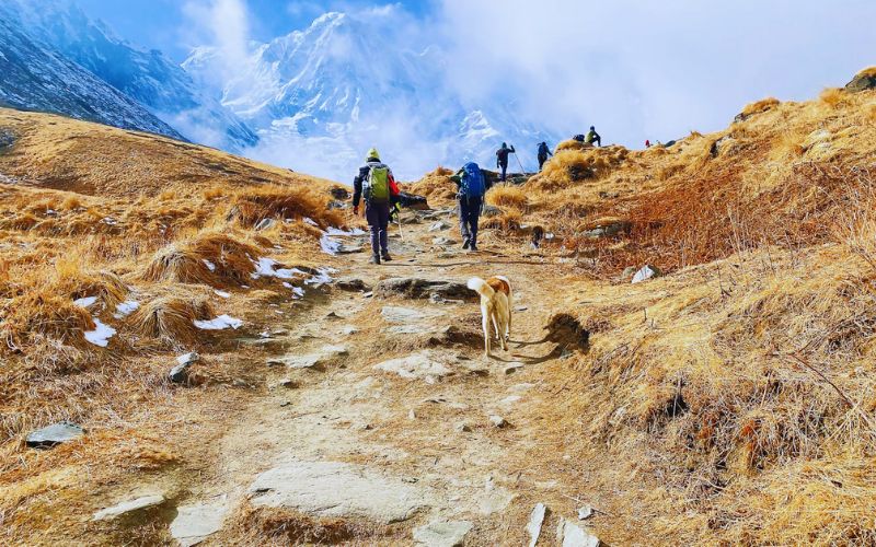 Best Seasons For Trekking In Nepal