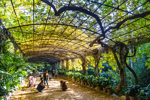 Jardin Botanico de Vinales - Botanical Garden