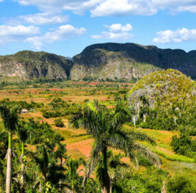 Things To Do In Vinales Cuba