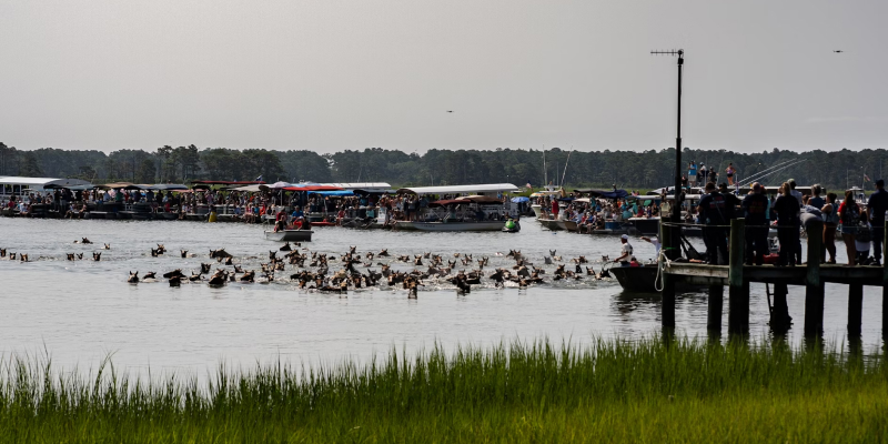 4 Beaches To Visit Near Chincoteague Beach Island