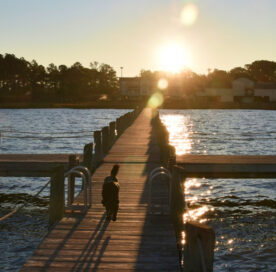 Chincoteague Island