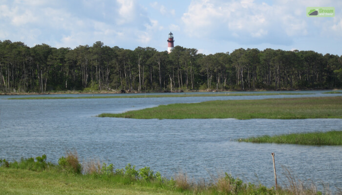 Chincoteague Island National Wildlife Refuge Near Chincoteague Island