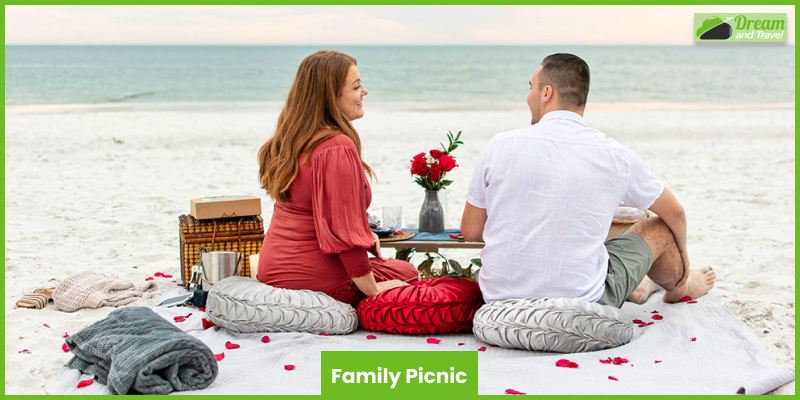 Go For A Family Picnic