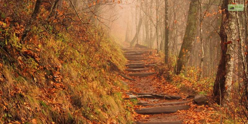 Appalachian National Park