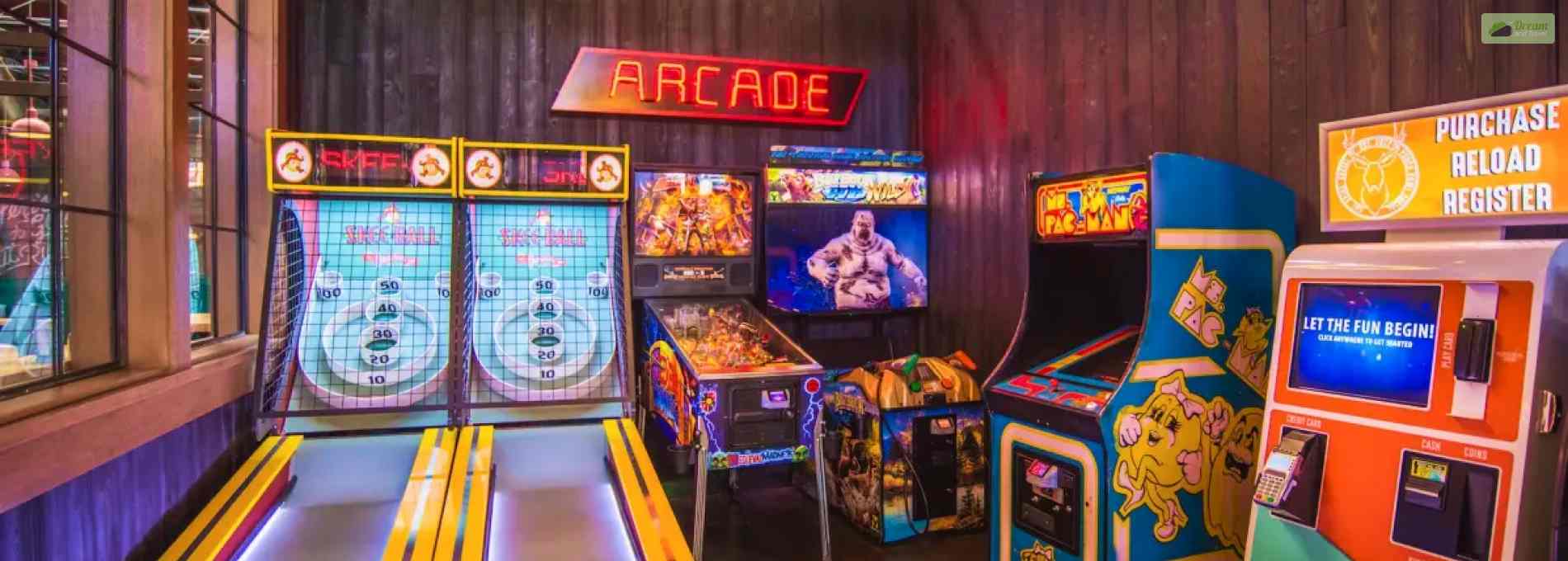 Adult video arcades