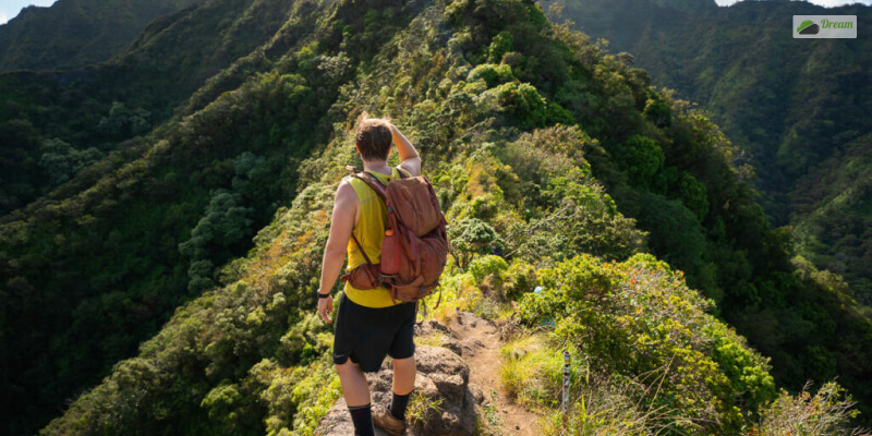 The Legal Road To The Haiku Stairs Take The Kulana’ahane Trail