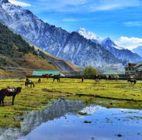 Best Time To Visit Kashmir