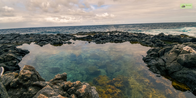 Some other Oahu tide pools