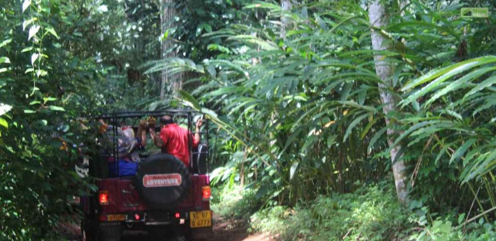 Off-road jeep safari