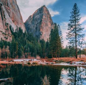 Complete Guide To Yosemite National Park