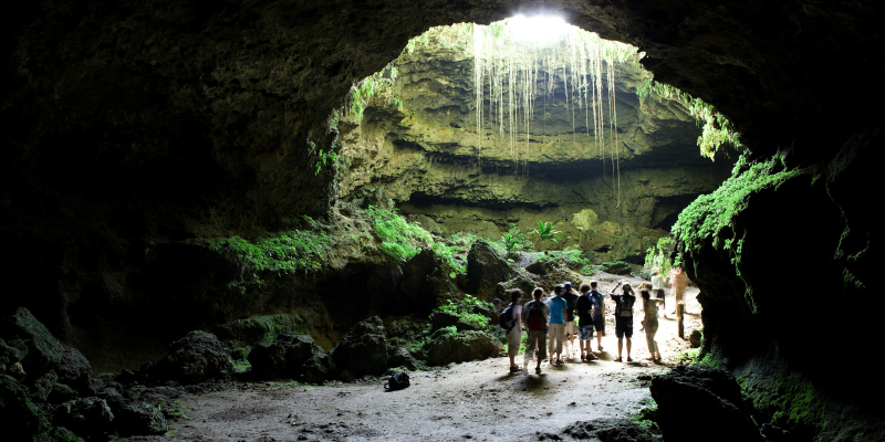 How Did The Waitomo Caves Were Formed