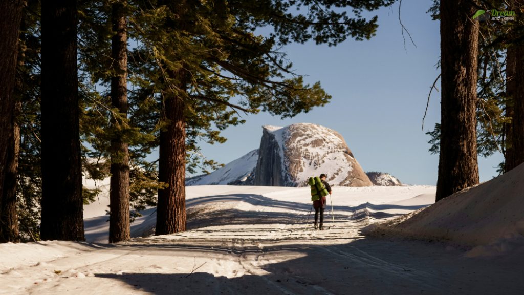 Things to avoid in Yosemite National Park