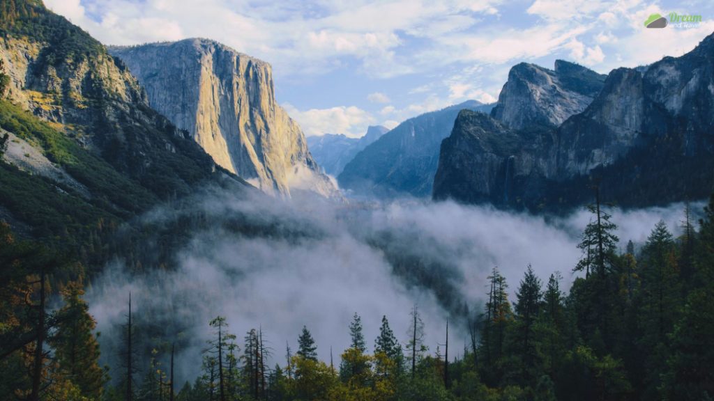 Yosemite Valley View