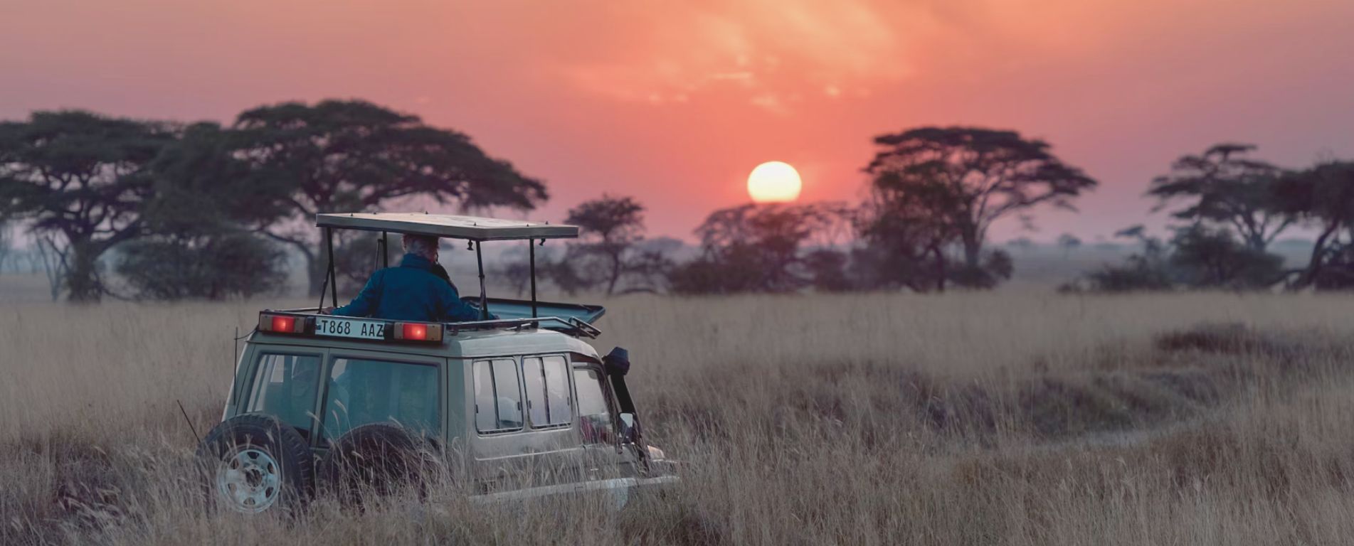 Best Country In Africa To Go On Safari