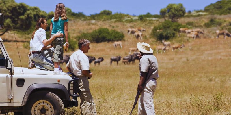 How To Choose The Best Safari Country In Africa