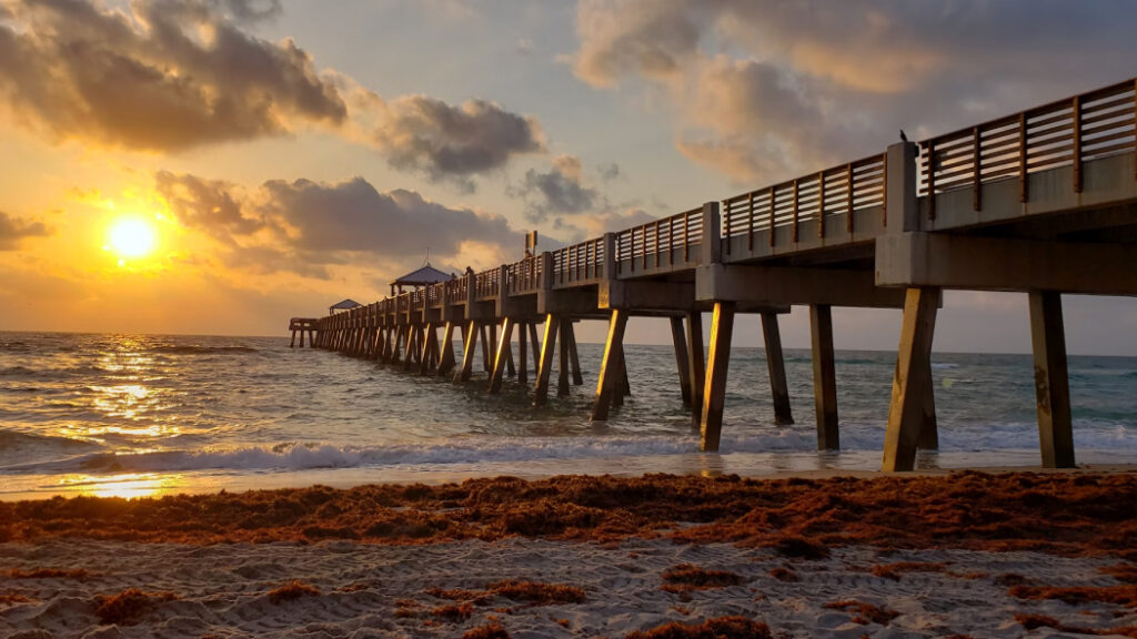 Juno Beach