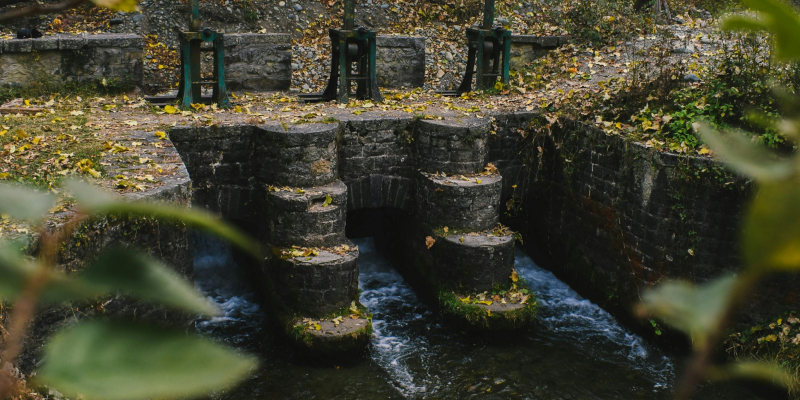 Location and History of Dachigam National Park