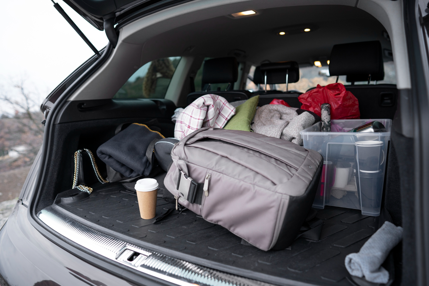 Car Refrigerators While Traveling