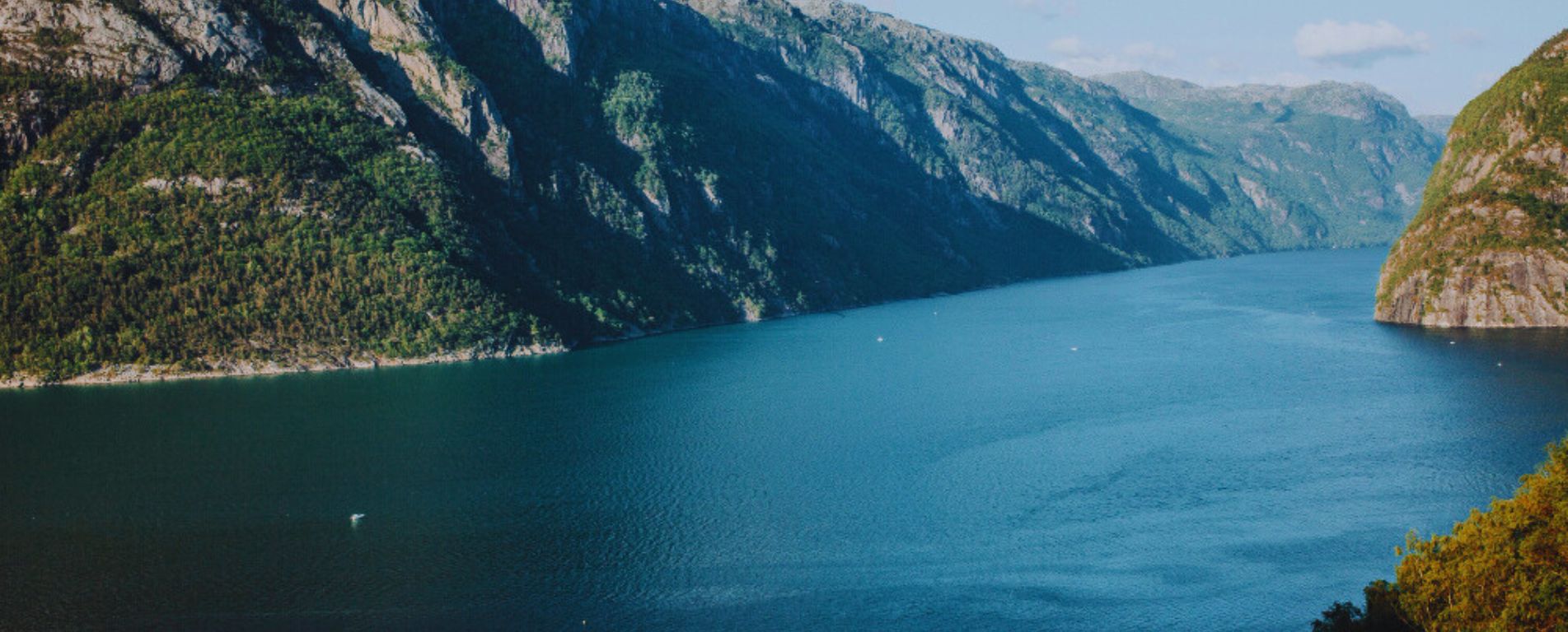 Norwegian Fjords