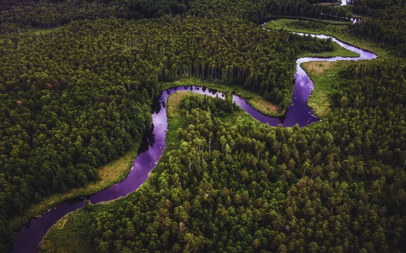 The Amazon River