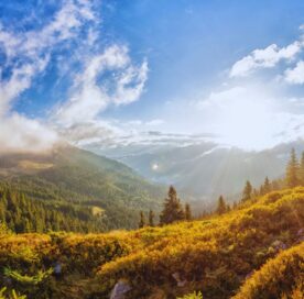 Carpathian mountains