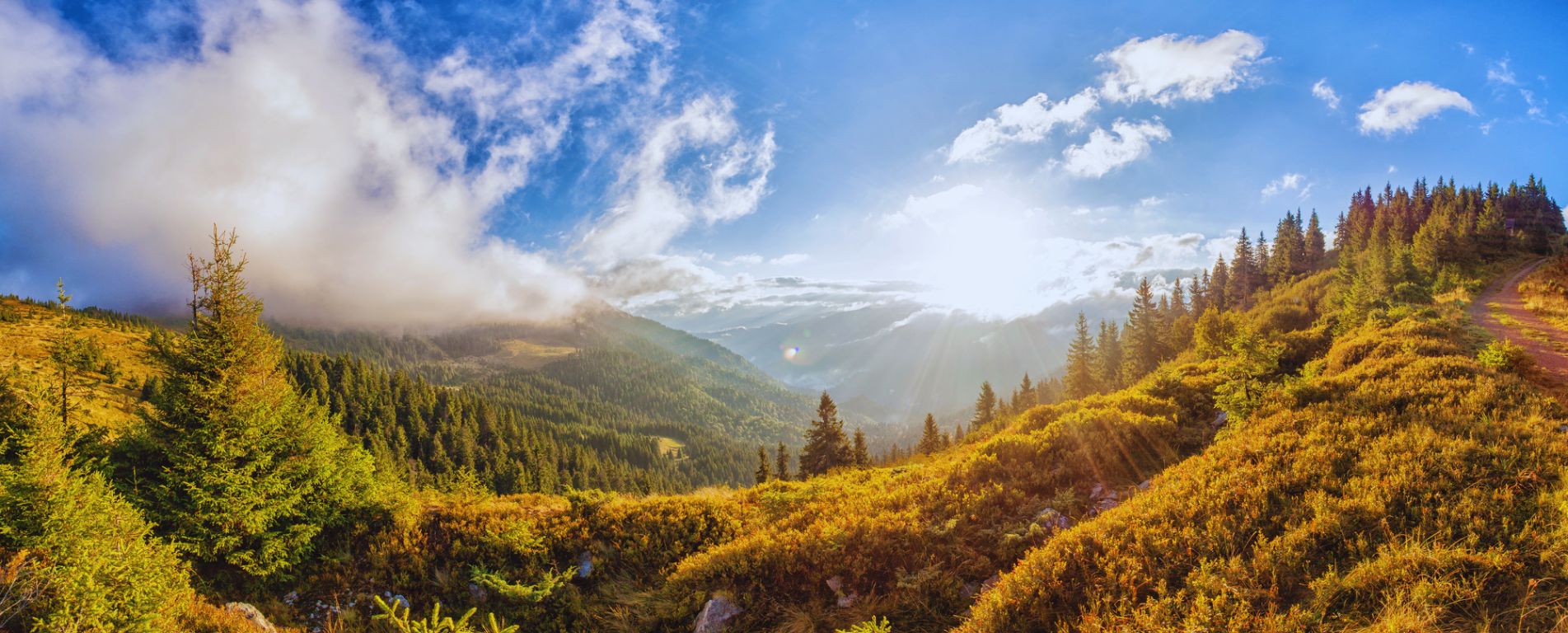 Carpathian mountains