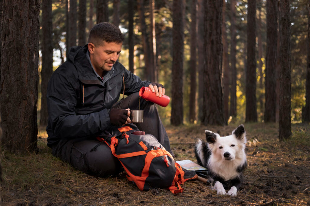 How To Be Safe While Hiking With Dogs