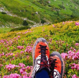 Valley of Flowers Trek