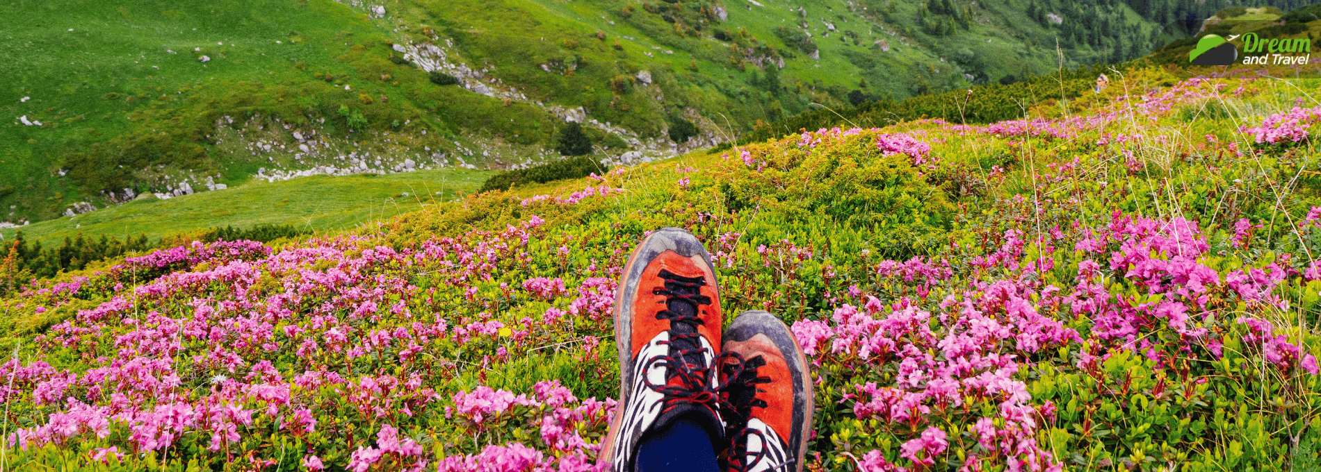 Valley of Flowers Trek