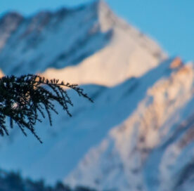 Snowfall In Manali