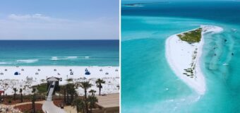 Best Time of Year to Visit Anna Maria Island & Florida's Gulf Coast