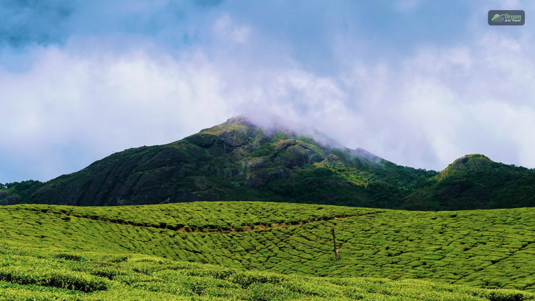 Devikulam