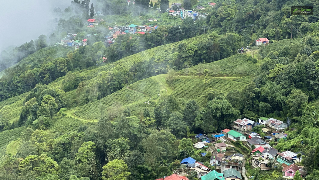 darjeeling hill station