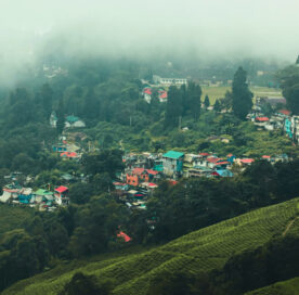 Darjeeling In December