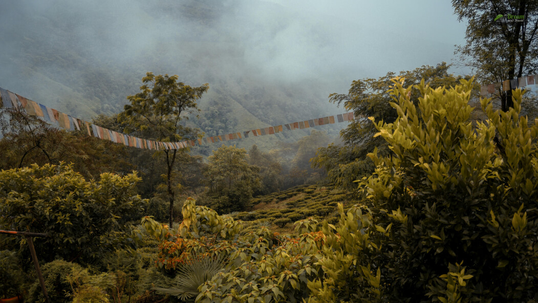 Kurseong