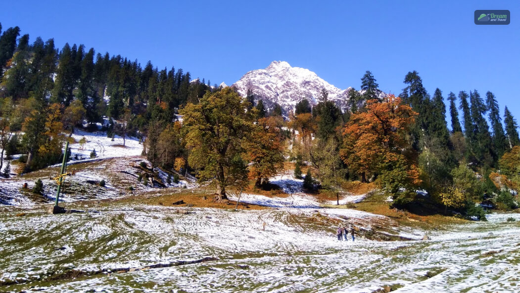 Manali, Himachal Pradesh