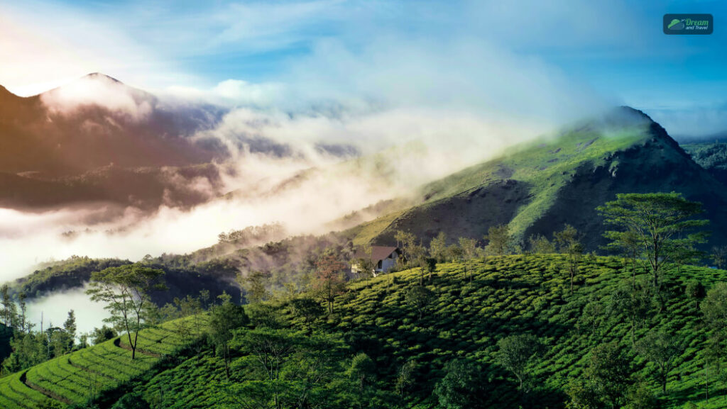 Vagamon