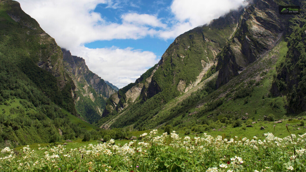 Valley of Flowers, Uttarakhand