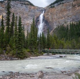 Yellowstone Vacations