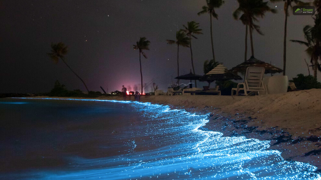 Maldives Glowing Beach