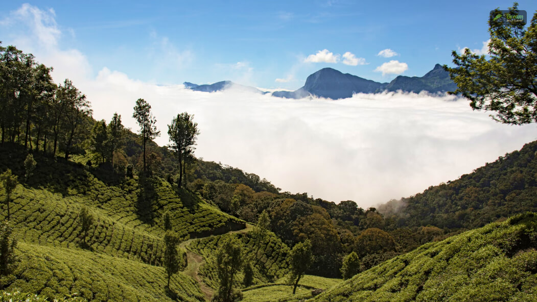 Munnar Geography