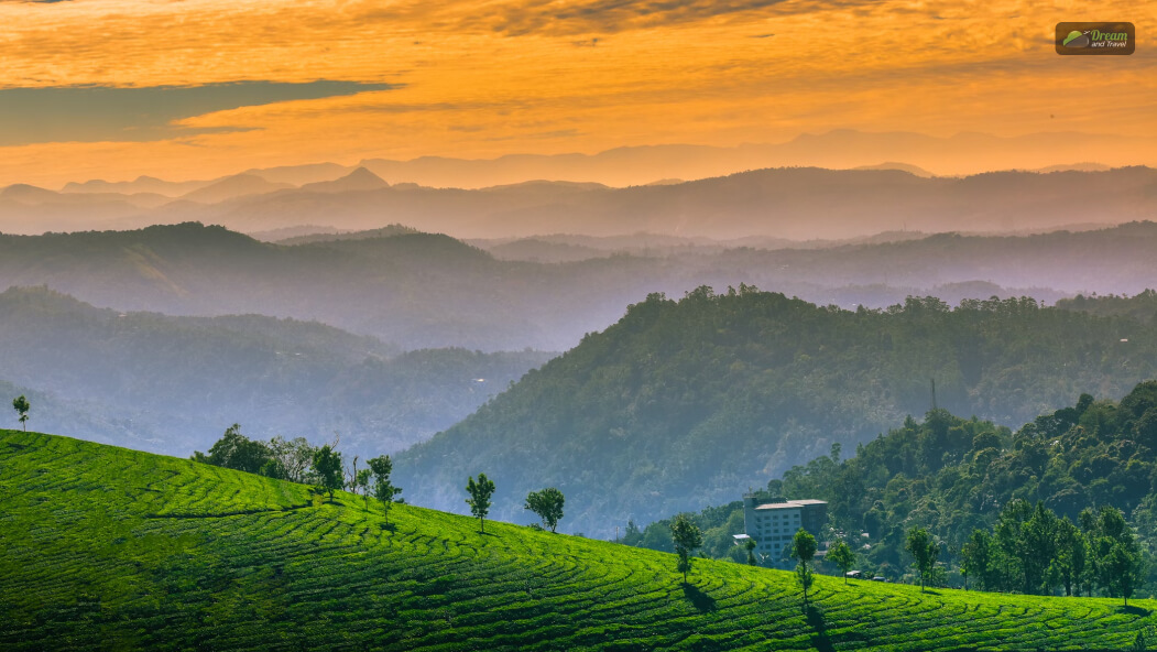 Munnar Weather And Climate