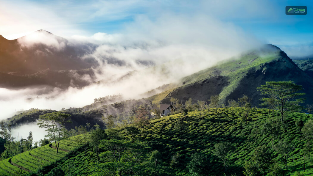 Munnar